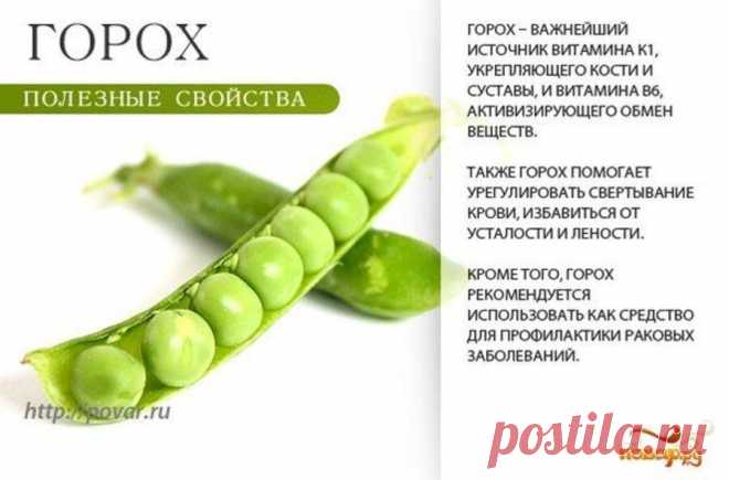 Горох полезные свойства