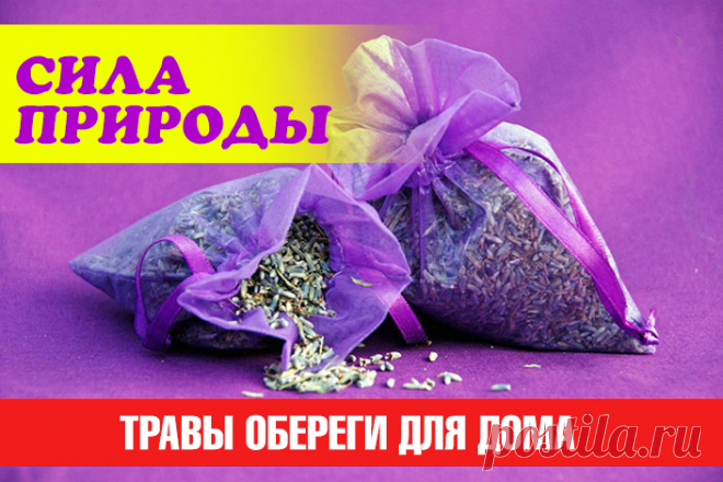 Сила природы: травы обереги для дома | Полезные советы