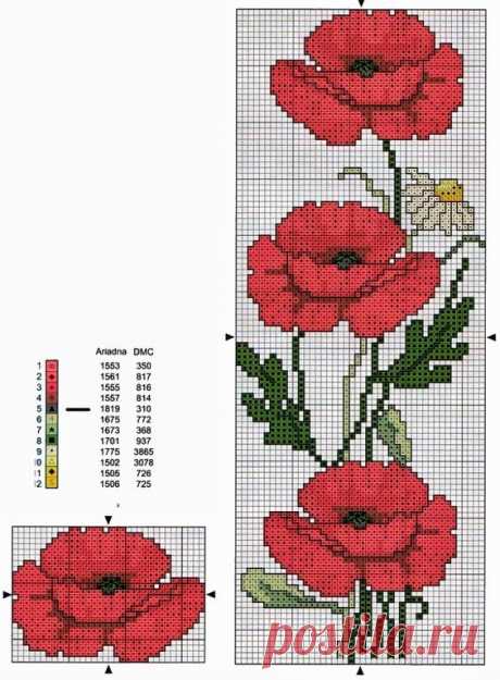 (1) Pinterest