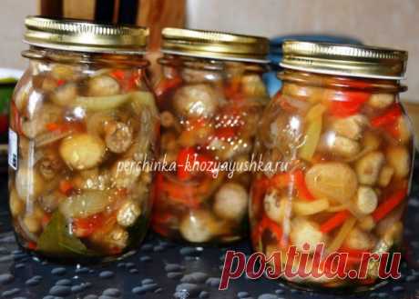 Салаты с грибами и овощами на зиму - очень вкусные рецепты - Заготовки от Перчинки - Perchinka Hozyayushka.ru