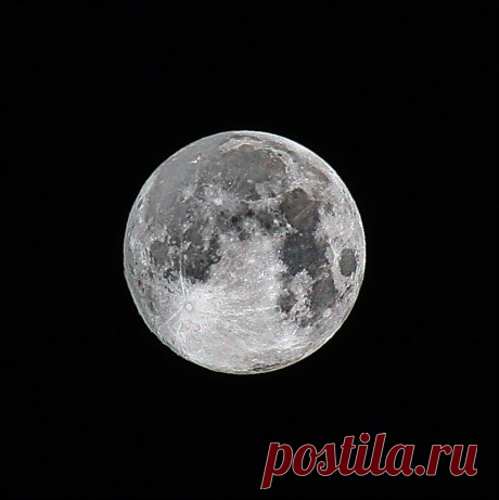 Яндекс.Фотки