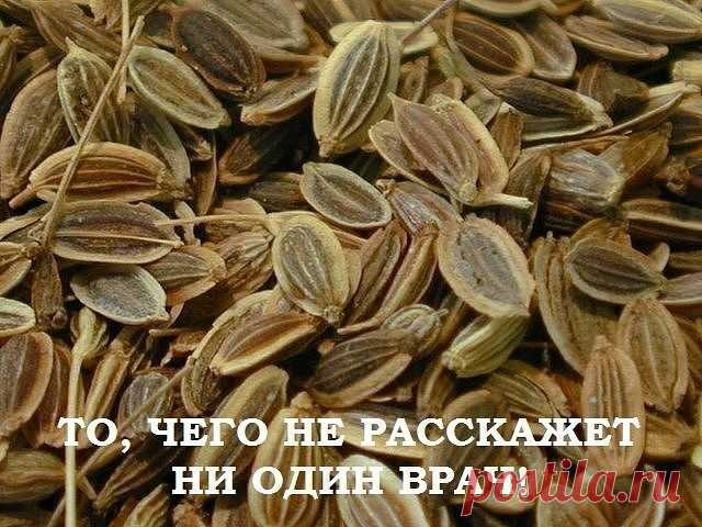 ЛЕЧЕНИЕ ПОДЖЕЛУДОЧНОЙ ЖЕЛЕЗЫ НАРОДНЫМИ МЕТОДАМИ. 
ТО, ЧЕГО НЕ РАССКАЖЕТ НИ ОДИН ВРАЧ!