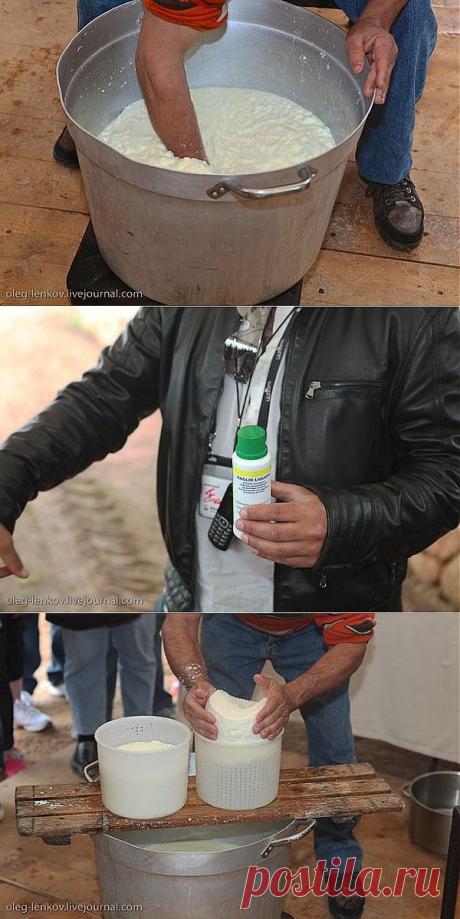 (+1) - Приготовление Итальянской рикотты | ПОТРЕБИТЕЛЬ, БДИ