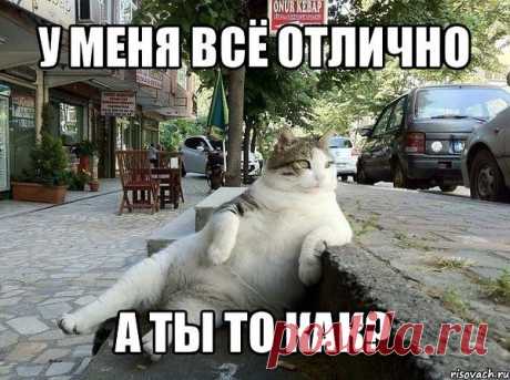 Интересные новости