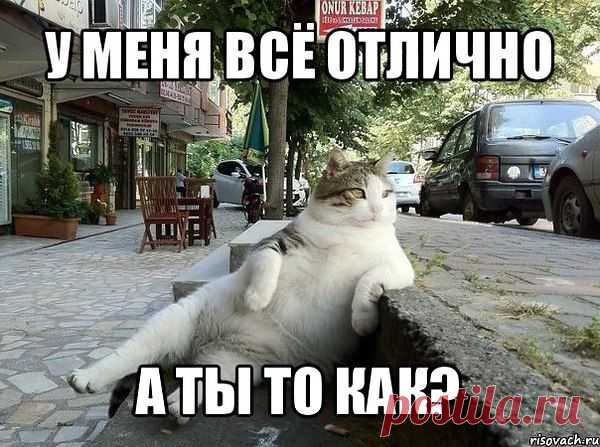 Интересные новости