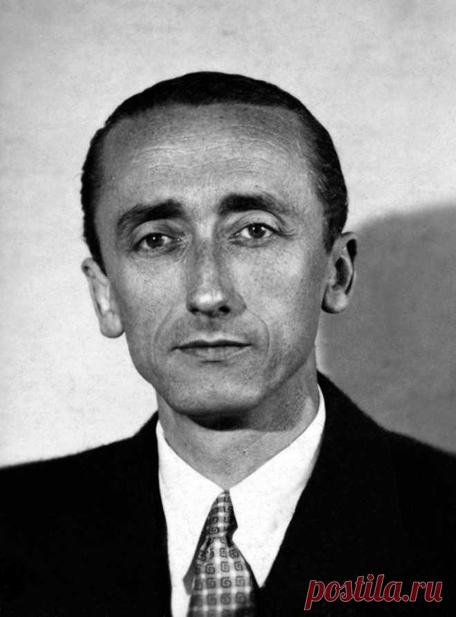 Фотогалерея: "В мире безмолвия" Жака Ива Кусто - Новости Mail.Ru