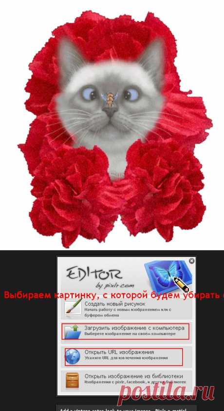 КАК ИЗБАВИТСЯ ОТ ОДНОТОННОГО ЗАДНЕГО ФОНА НА КАРТИНКЕ.