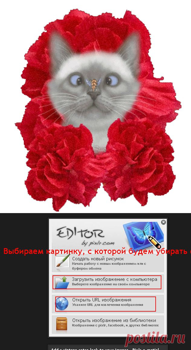 КАК ИЗБАВИТСЯ ОТ ОДНОТОННОГО ЗАДНЕГО ФОНА НА КАРТИНКЕ.