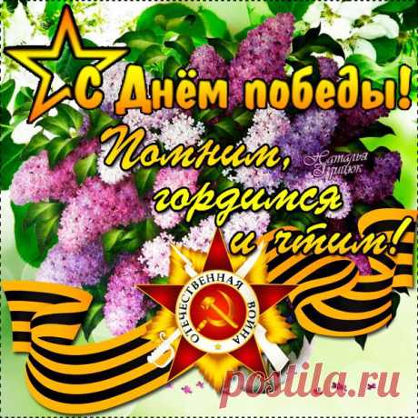 Красивые поздравления с Днем Победы 9 мая в стихах, прозе, картинках - Статусы к 9 Мая о Великой Победе - Открытки на праздник 9 Мая с надписями