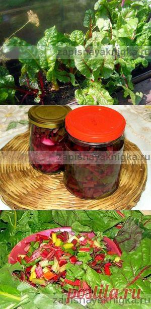 Мангольд рецепт на зиму | Записная книжка рецептов Анюты