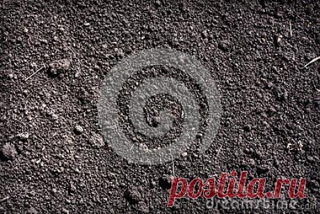 Stock Photos, Royalty-Free Images & Video Footage By Dreamstime Stock Photography