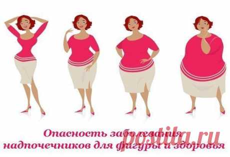 ОПАСНОСТЬ ЗАБОЛЕВАНИЯ НАДПОЧЕЧНИКОВ ДЛЯ ФИГУРЫ И ЗДОРОВЬЯ | Советы Народной Мудрости