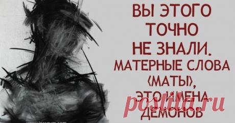 ...так называемый мат проходит по совершенно иным нервным цепочкам, нежели вся остальная нормальная речь. - 4 Мая 2021 - NewRezume.org