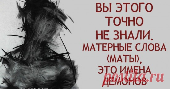 ...так называемый мат проходит по совершенно иным нервным цепочкам, нежели вся остальная нормальная речь. - 4 Мая 2021 - NewRezume.org