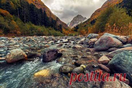 Удивительная Природа! - 22 Января 2016 - Персональный сайт