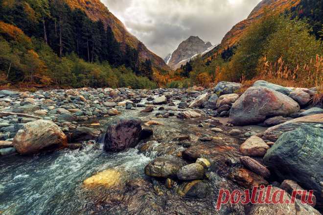 Удивительная Природа! - 22 Января 2016 - Персональный сайт