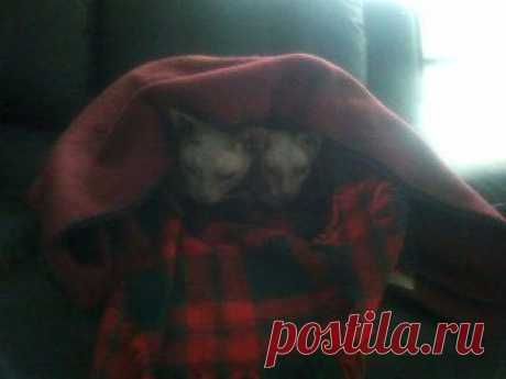 в тесноте, да не в обиде!