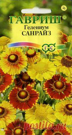 Гелениум осенний "Санрайз", смесь
