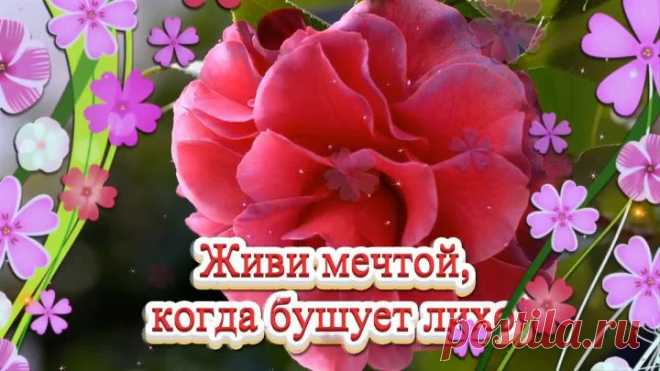 Живи мечтой, когда бушует лихо!🌼(Бесплатная открытка )🌷