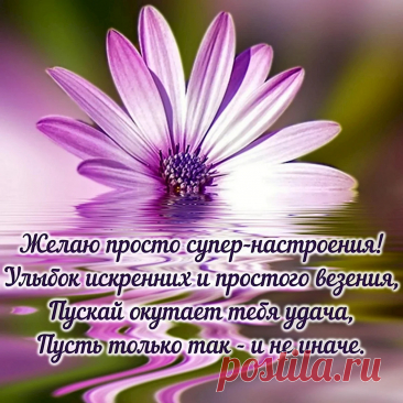 Настроения хорошего, позитива, смеха,
Радости добавить — тоже не помеха,
Настроение хорошим будет обязательно
И тогда всё сложится просто замечательно!