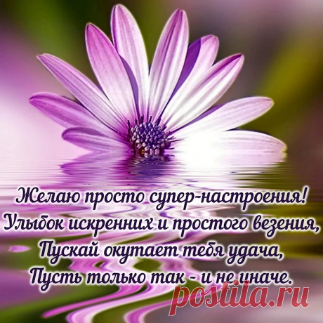 Настроения хорошего, позитива, смеха,
Радости добавить — тоже не помеха,
Настроение хорошим будет обязательно
И тогда всё сложится просто замечательно!