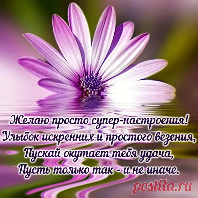 Настроения хорошего, позитива, смеха,
Радости добавить — тоже не помеха,
Настроение хорошим будет обязательно
И тогда всё сложится просто замечательно!