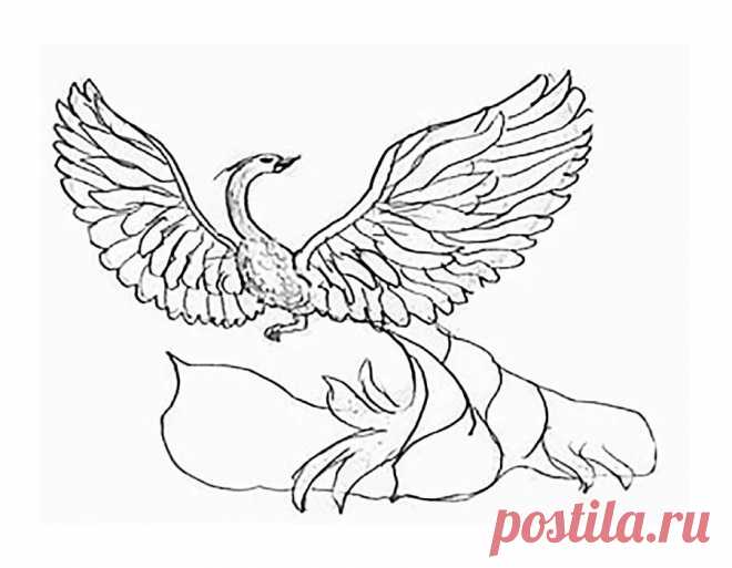 рисуем павлина карандашом: 13 тыс изображений найдено в Яндекс.Картинках