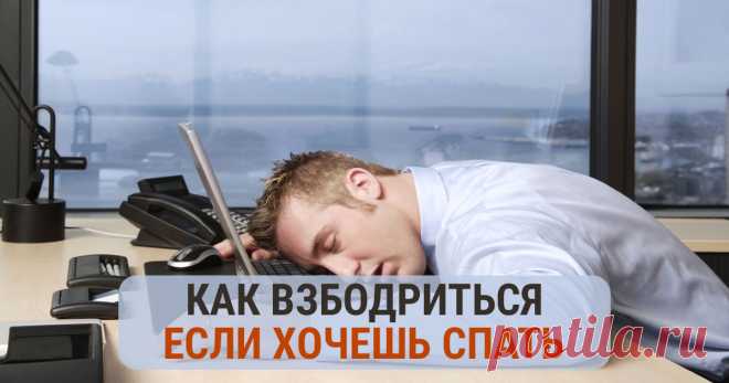 Клюете на работе? Узнайте, как взбодриться если хочешь спать Вас одолевает сонливость? Тогда узнайте о нескольких действенных способах, как взбодриться если хочешь спать.