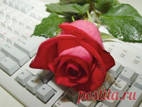 Странно..Мы добавляем в друзья иногда тех,кого совсем не знаем.. никогда не видели и может никогда не увидим… а они становятся нам близкими и родными людьми…