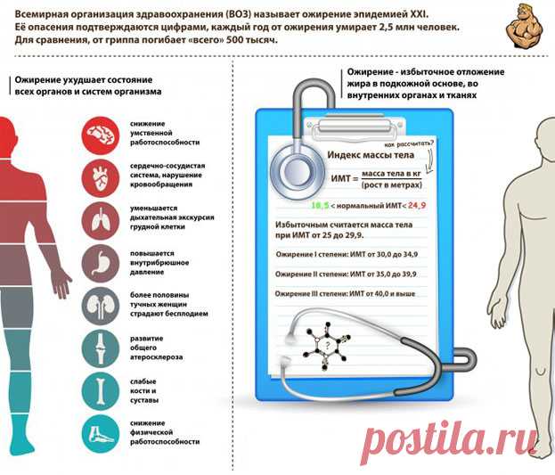 Как убрать живот? Полное руководство!