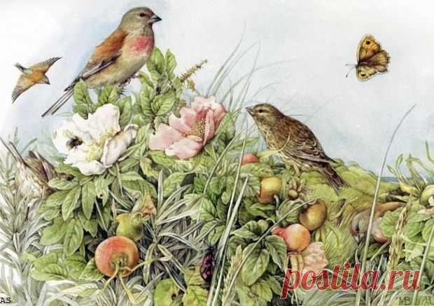 marjolein bastin картинки - 1 710 картинок. Поиск Mail.Ru