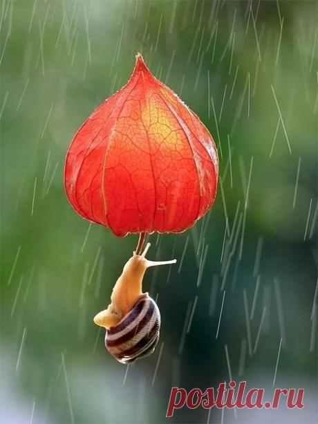 КАКОЙ СЕГОДНЯ ПРАЗДНИК? 7 Ноября 2018 г. – Среда • День Великой Октябрьской Социалистической Революции101 год • День военного парада на Красной площади 1941 года77 лет • День рисования на запотевшем стекле • День рождения уральского трамвая89 лет • День российского пейнтбола26 лет Национальный день горького шоколада с миндалем - США • День таджикского театра1 • День новой эры (New Era Day) - Тунис • Национальный день революции и солидарности - Бангладеш • Дни истории и пам...