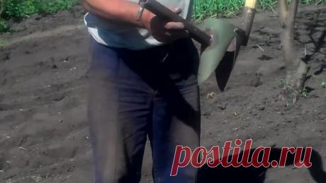 Крутая картофелесажалка