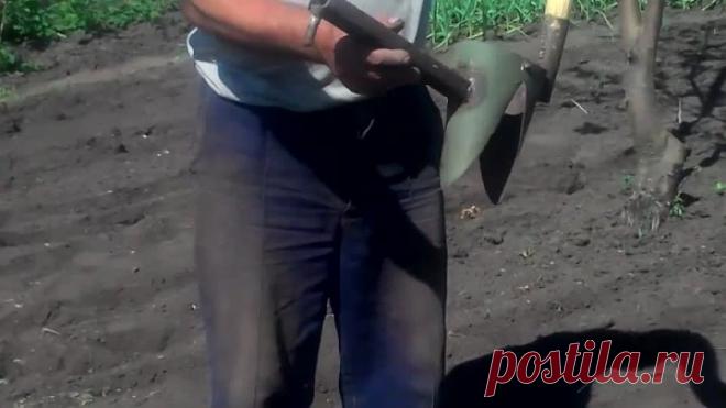 Крутая картофелесажалка