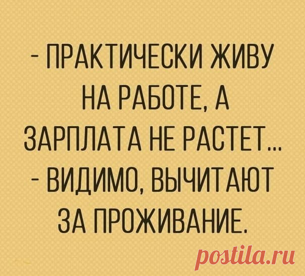 Веселые истории о нас № 267 - Ветер Вольный — КОНТ