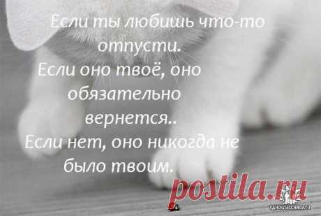 Интересные новости