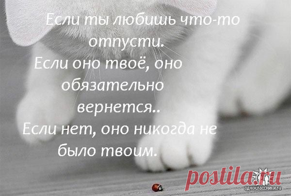 Интересные новости