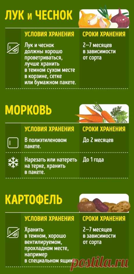 50+ советов, как сохранить продукты свежими надолго