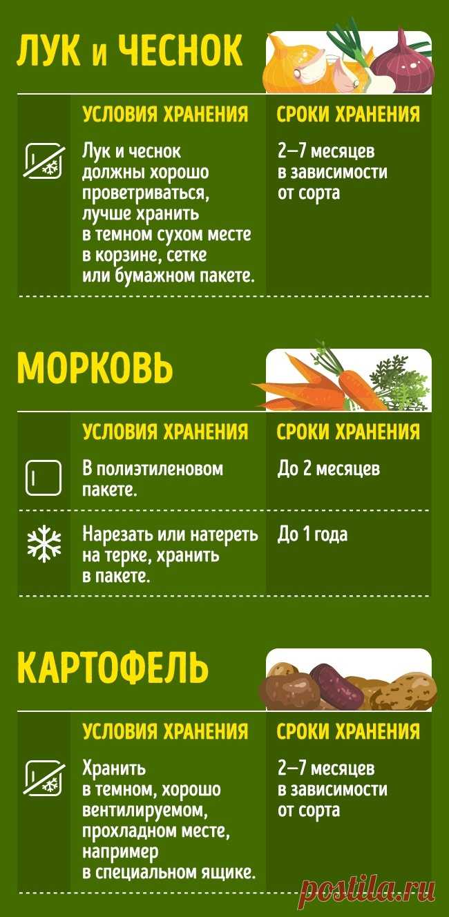 50+ советов, как сохранить продукты свежими надолго