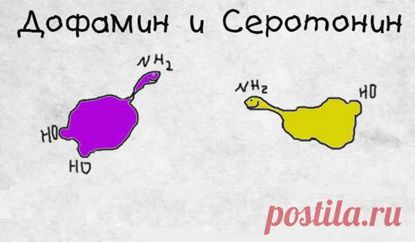 Где «достать» СЕРОТОНИН с ДОФАМИНОМ