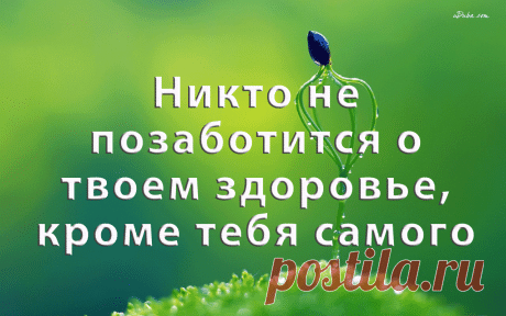 Действительно полезные советы для здоровья