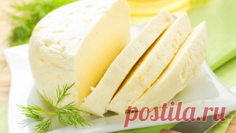 Домашний французский сыр: вкусно, просто и дешево