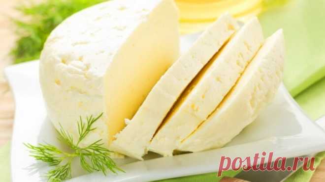 Домашний французский сыр: вкусно, просто и дешево