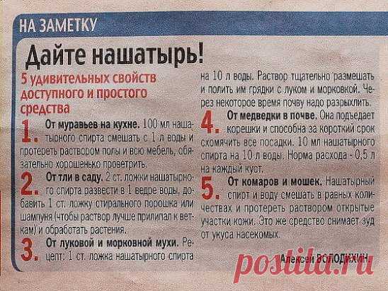 В копилку огородника! Полезные советы ниже  ↓↓↓