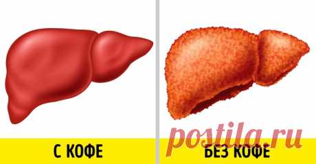 9 полезных свойств кофе, доказанных наукой