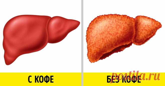 9 полезных свойств кофе, доказанных наукой