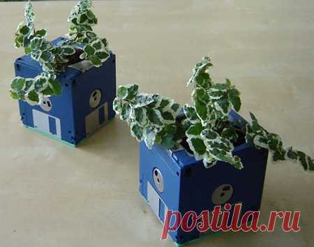 Как сделать цветочный горшок из дискет - Nebka.Ru