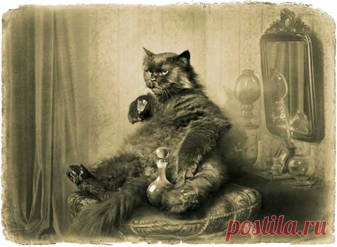 Непревзойденные цитаты из романа «Мастер и Маргарита» – Фитнес для мозга