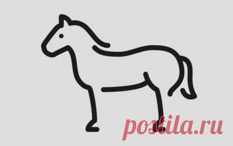 Рисовать - это просто » Notagram.ru Как научить ребенка рисовать. Простые уроки рисования для детей. Учимся рисовать животных карандашом. Как легко нарисовать лошадь и других животных.