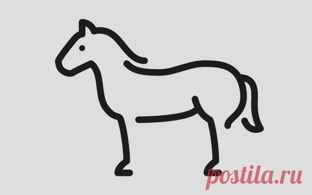 Рисовать - это просто » Notagram.ru Как научить ребенка рисовать. Простые уроки рисования для детей. Учимся рисовать животных карандашом. Как легко нарисовать лошадь и других животных.